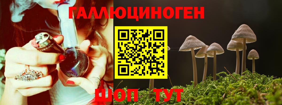 цены   Вход с VPN  Бузулук  Галлюциногенные грибы мицелий 